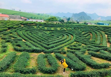 Tất tần tật từ A-Z khi đến Mộc Châu từ di chuyển, khách sạn, ăn chơi, đặc sản... mới nhất